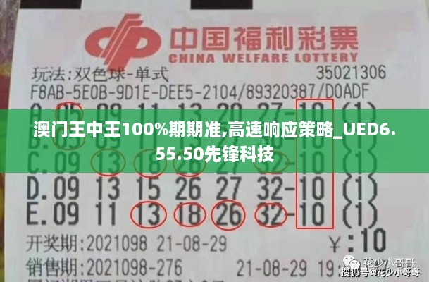 澳门王中王100%期期准,高速响应策略_UED6.55.50先锋科技