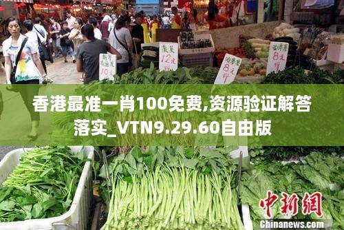 香港最准一肖100免费,资源验证解答落实_VTN9.29.60自由版