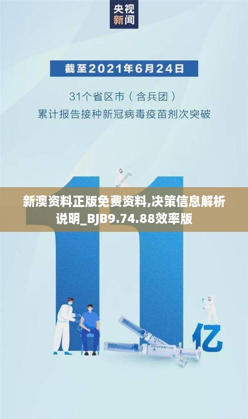 新澳资料正版免费资料,决策信息解析说明_BJB9.74.88效率版