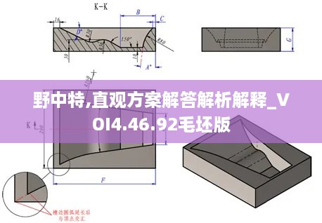 野中特,直观方案解答解析解释_VOI4.46.92毛坯版