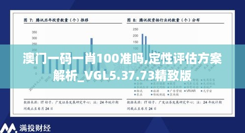 澳门一码一肖100准吗,定性评估方案解析_VGL5.37.73精致版