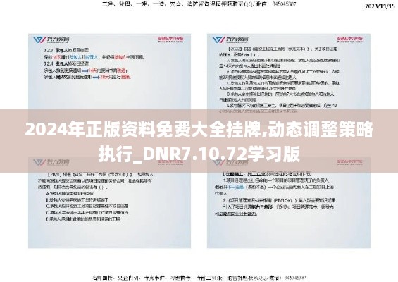 2024年正版资料免费大全挂牌,动态调整策略执行_DNR7.10.72学习版