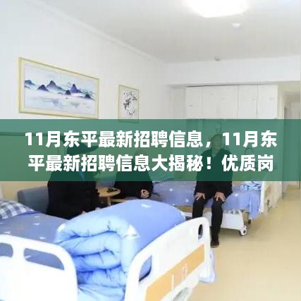 11月东平最新招聘信息全解析，优质岗位等你来挑战！