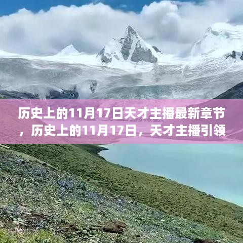 历史上的天才主播，探寻自然美景的宁静胜地与心灵之旅最新章节（11月17日）