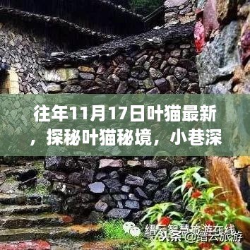 探秘叶猫秘境，揭秘往年11月17日的独特风味与小巷深处的独特风味