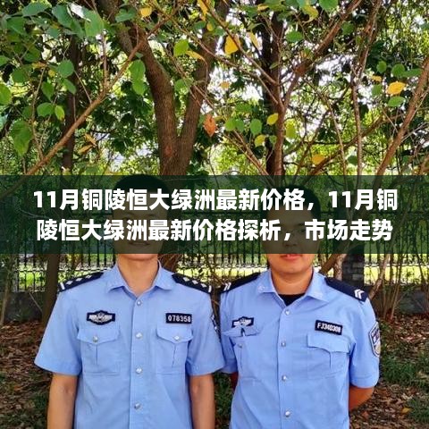 11月铜陵恒大绿洲最新价格探析，市场走势与个人观点分析