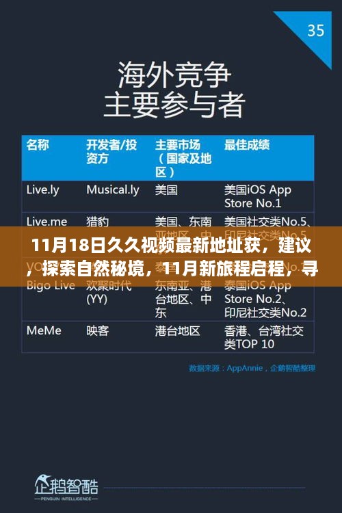 11月18日久久视频最新地址获，建议，探索自然秘境，11月新旅程启程，寻找内心平静的绿洲