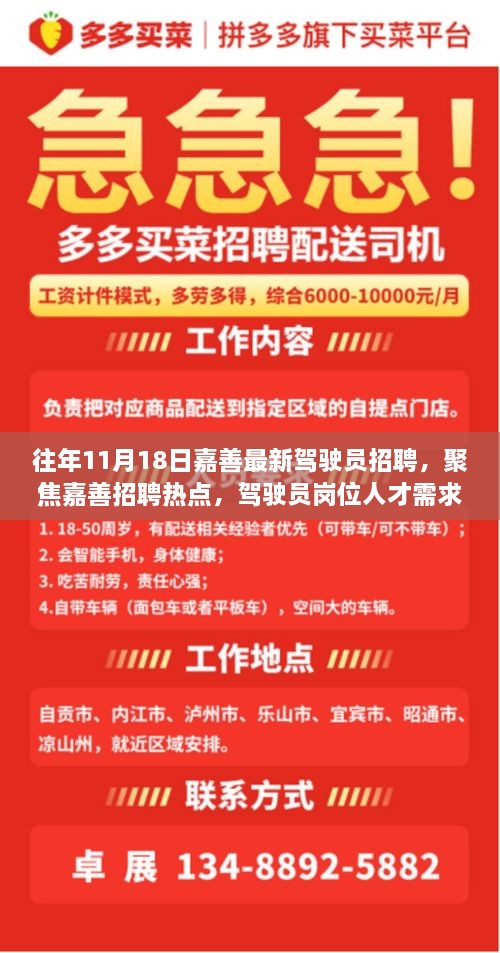 往年11月18日嘉善最新驾驶员招聘，聚焦嘉善招聘热点，驾驶员岗位人才需求的深度探讨