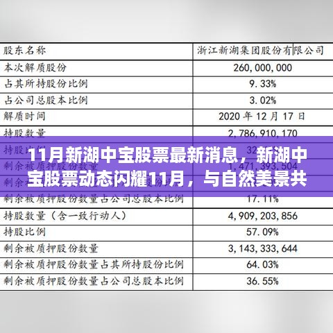 新湖中宝股票动态闪耀11月，与自然美景共舞的心灵之旅最新消息