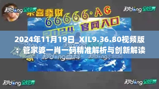 2024年11月19日_XIL9.36.80视频版：管家婆一肖一码精准解析与创新解读