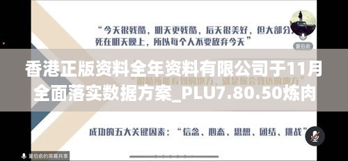 香港正版资料全年资料有限公司于11月全面落实数据方案_PLU7.80.50炼肉境