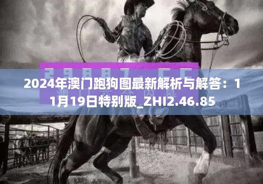 2024年澳门跑狗图最新解析与解答：11月19日特别版_ZHI2.46.85