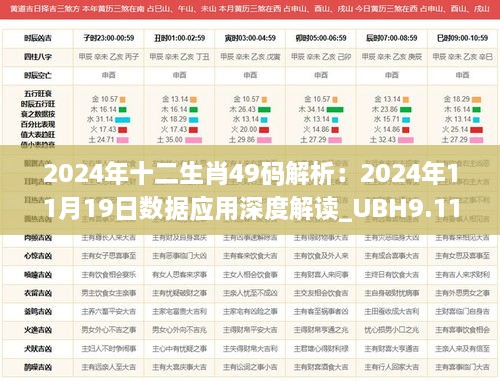 2024年十二生肖49码解析：2024年11月19日数据应用深度解读_UBH9.11.46特别版