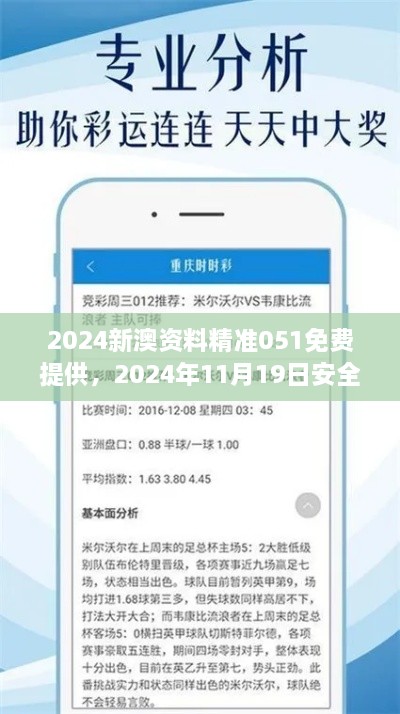 2024新澳资料精准051免费提供，2024年11月19日安全版TNB6.17.63集成解答方法执行