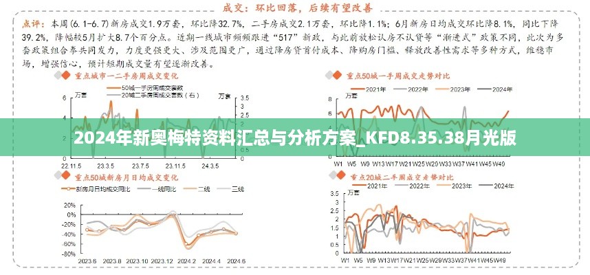 2024年新奥梅特资料汇总与分析方案_KFD8.35.38月光版