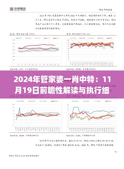 2024年管家婆一肖中特：11月19日前瞻性解读与执行细则_CPB9.20.48仿真版