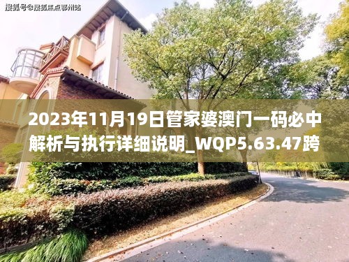 2023年11月19日管家婆澳门一码必中解析与执行详细说明_WQP5.63.47跨平台版