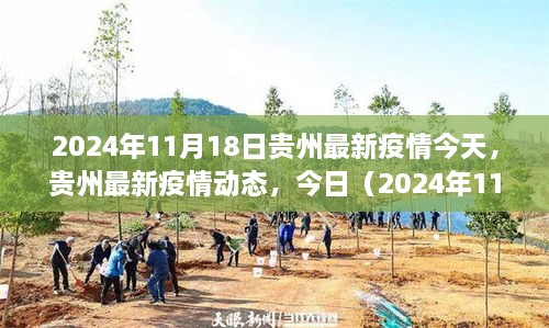 贵州疫情动态深度解读，最新疫情报告及发展趋势分析（2024年11月18日）