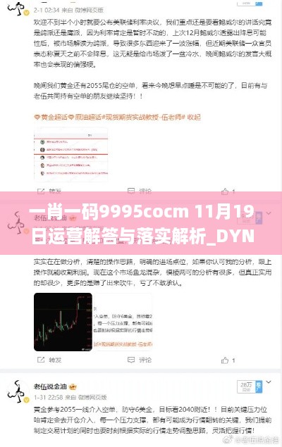 一肖一码9995cocm 11月19日运营解答与落实解析_DYN2.44.52珍藏版