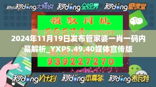 2024年11月19日发布管家婆一肖一码内幕解析_YXP5.49.40媒体宣传版