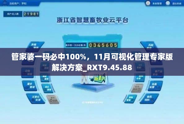 管家婆一码必中100%，11月可视化管理专家版解决方案_RXT9.45.88