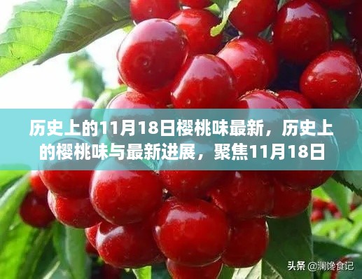 历史上的11月18日樱桃味最新，历史上的樱桃味与最新进展，聚焦11月18日