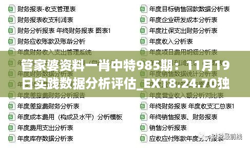 管家婆资料一肖中特985期：11月19日实践数据分析评估_EXT8.24.70独特版本