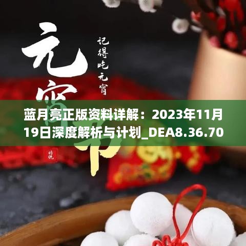 蓝月亮正版资料详解：2023年11月19日深度解析与计划_DEA8.36.70户外版