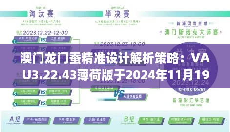 澳门龙门蚕精准设计解析策略：VAU3.22.43薄荷版于2024年11月19日发布