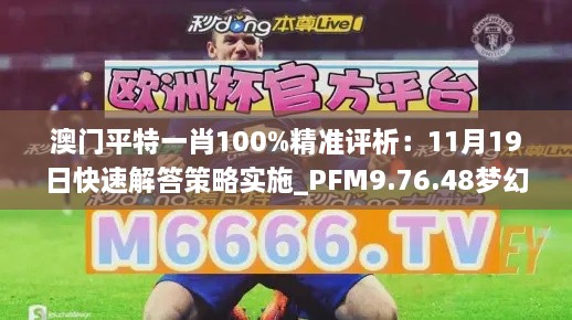 澳门平特一肖100%精准评析：11月19日快速解答策略实施_PFM9.76.48梦幻版