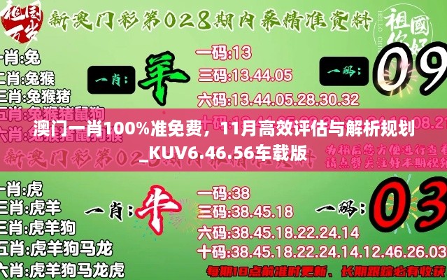 澳门一肖100%准免费，11月高效评估与解析规划_KUV6.46.56车载版