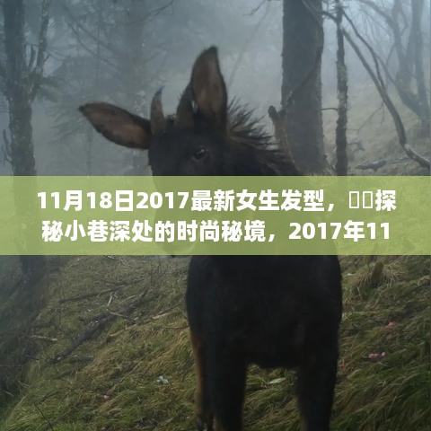 11月18日2017最新女生发型，​​探秘小巷深处的时尚秘境，2017年11月18日最新女生发型秀