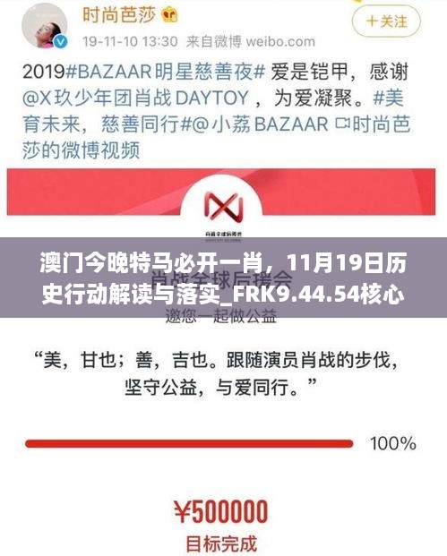 澳门今晚特马必开一肖，11月19日历史行动解读与落实_FRK9.44.54核心版