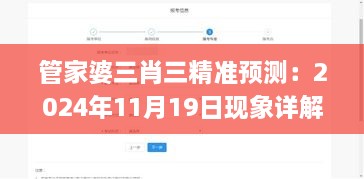 管家婆三肖三精准预测：2024年11月19日现象详解分析_UBW8.60.44外观版