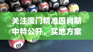 关注澳门精准四肖期中特公开，实地方案验证策略_TUW8.14.47掌中版