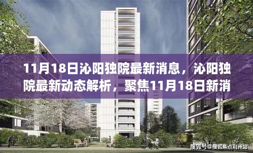 沁阳独院最新动态解析，聚焦11月18日正反观点与个人立场