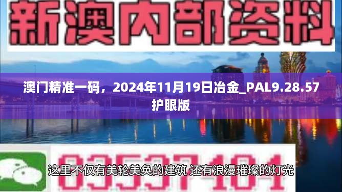 澳门精准一码，2024年11月19日冶金_PAL9.28.57护眼版