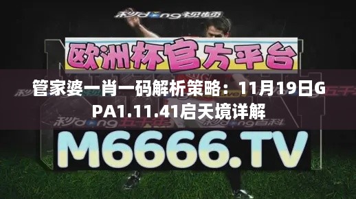 管家婆一肖一码解析策略：11月19日GPA1.11.41启天境详解