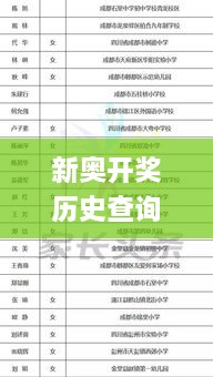 新奥开奖历史查询：11月19日高效管理现象解析_KSZ9.32.33修改版