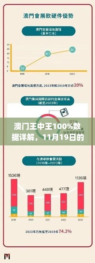 澳门王中王100%数据详解，11月19日的执行解读_HJM7.45.64炼髓境