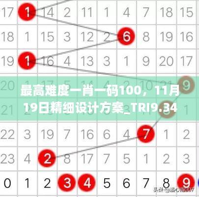 最高难度一肖一码100，11月19日精细设计方案_TRI9.34.82神话版