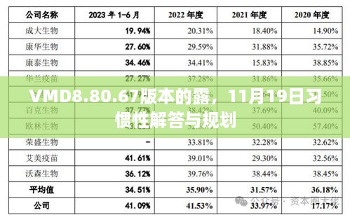 VMD8.80.67版本的露，11月19日习惯性解答与规划