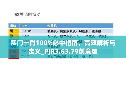 澳门一肖100%必中指南，高效解析与定义_PJR3.63.79创意版