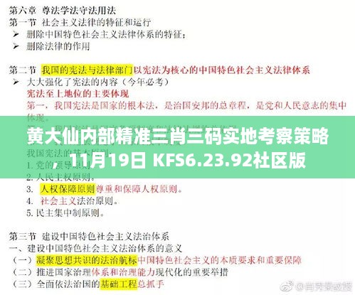 黄大仙内部精准三肖三码实地考察策略，11月19日 KFS6.23.92社区版