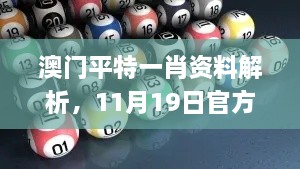 澳门平特一肖资料解析，11月19日官方策略研究解读_DUI8.55.82掌中版