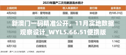 新澳门一码精准公开，11月实地数据观察设计_WYL5.66.51便携版