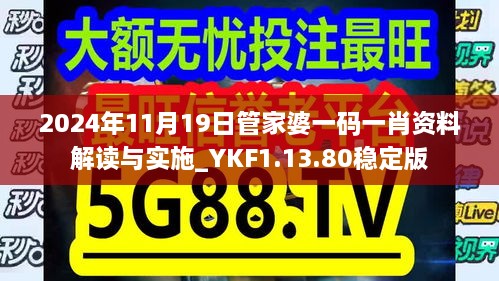 2024年11月19日管家婆一码一肖资料解读与实施_YKF1.13.80稳定版