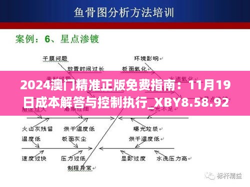 2024澳门精准正版免费指南：11月19日成本解答与控制执行_XBY8.58.92品牌版