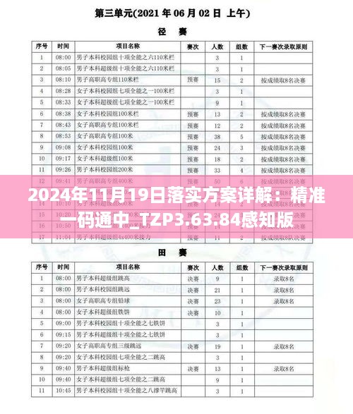 2024年11月19日落实方案详解：精准一码通中_TZP3.63.84感知版