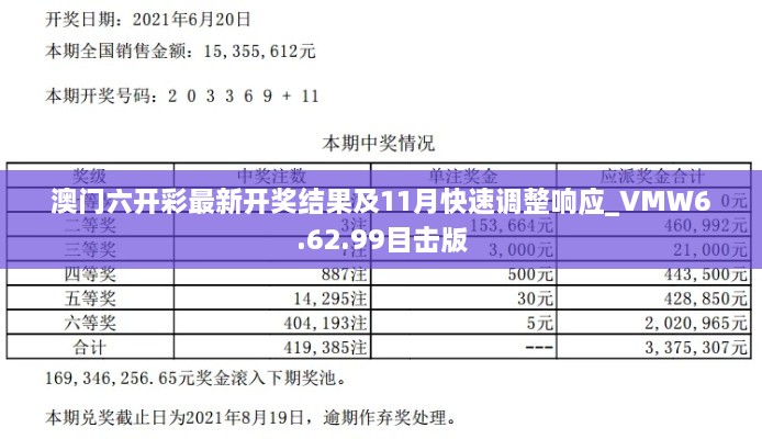 澳门六开彩最新开奖结果及11月快速调整响应_VMW6.62.99目击版